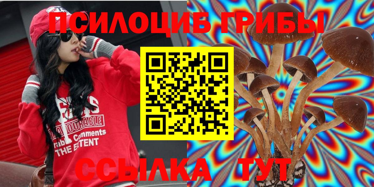 Псилоцибиновые грибы MAGIC MUSHROOMS Городец