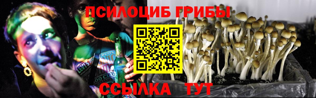 Псилоцибиновые грибы Psilocybine cubensis  Вход с VPN  Городец  Псилоцибиновые грибы GOLDEN TEACHER 